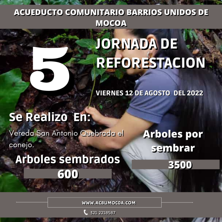 Quinta jornada de reforestacion (2)